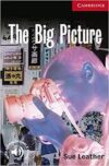 THE BIG PICTURE